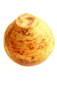 Rutabaga root