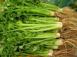 Celery stalks and roots Celery stalks and roots