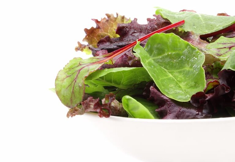 Mesclun mix1