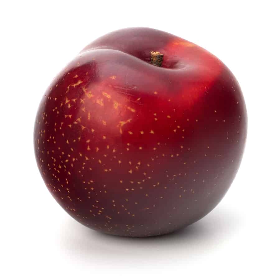 Plum Casselman1