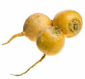 Turnip Gold Ball Turnip Gold Ball