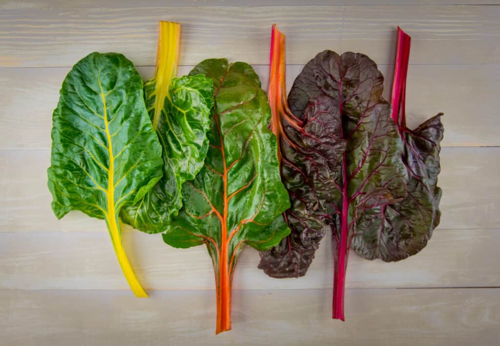 Rainbow chard