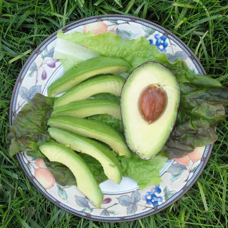 Avocado slices1
