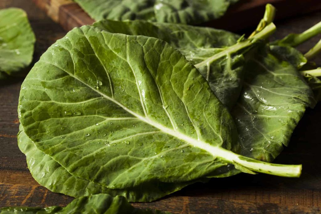 Collard leaves