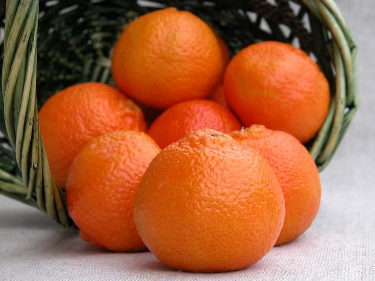 Mandarin Orange and Tangerine Varieties - Harvest to Table