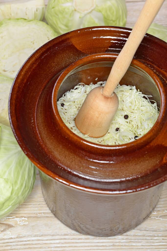 How to Make Sauerkraut Harvest to Table