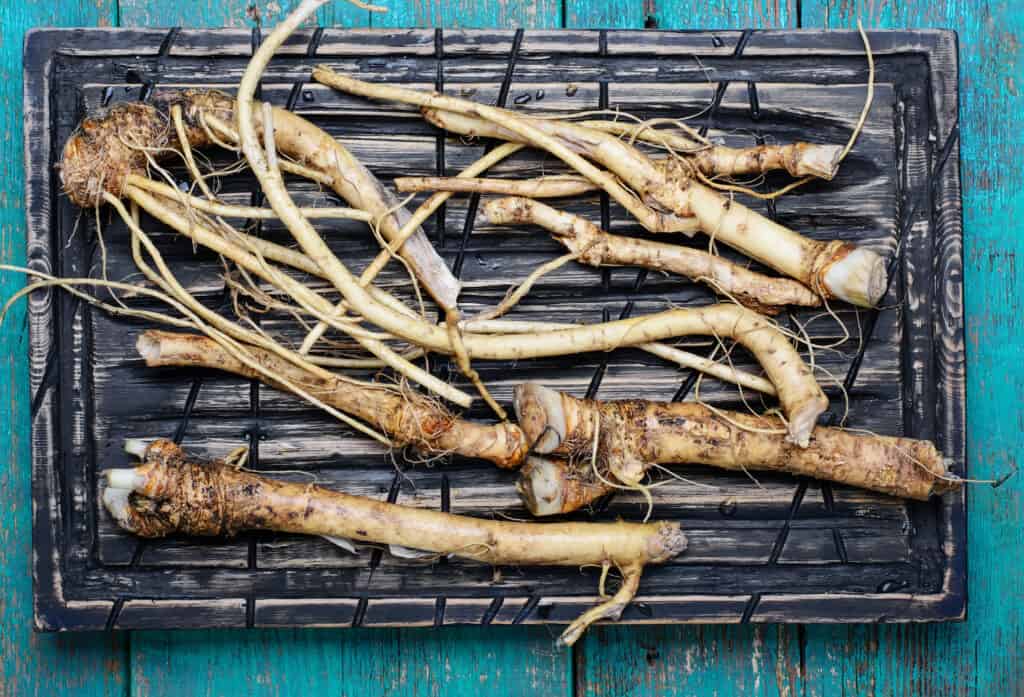 Horseradish roots