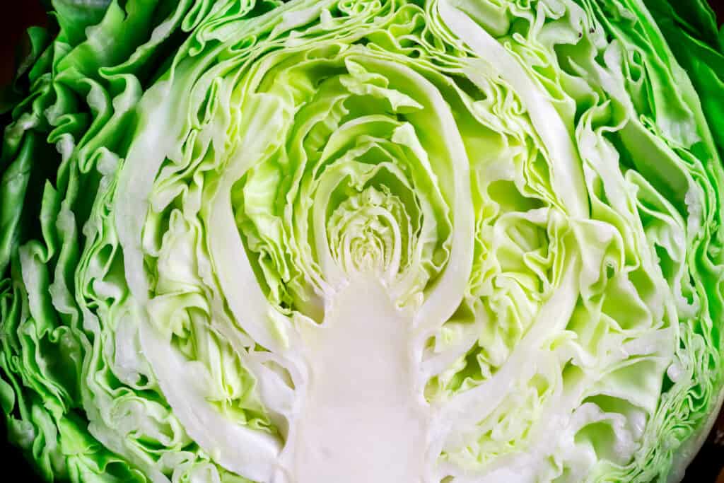 Cabbage halved