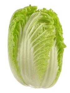 Cabbage Napa