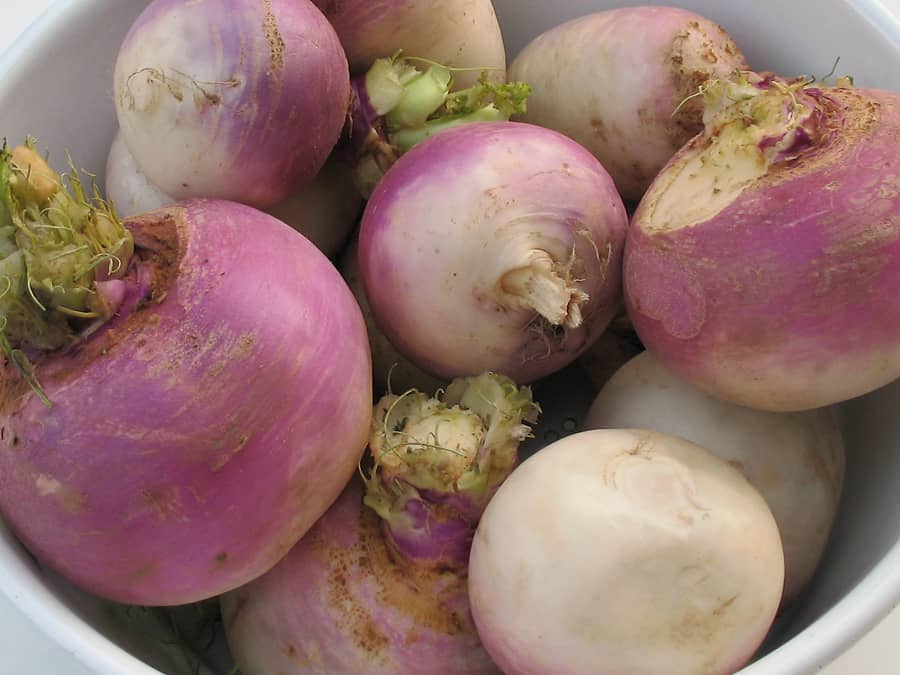 Turnips in bowl