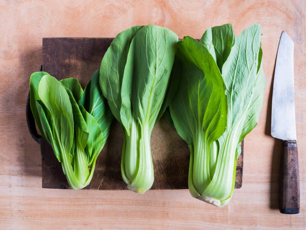 Bok choy in kitchen