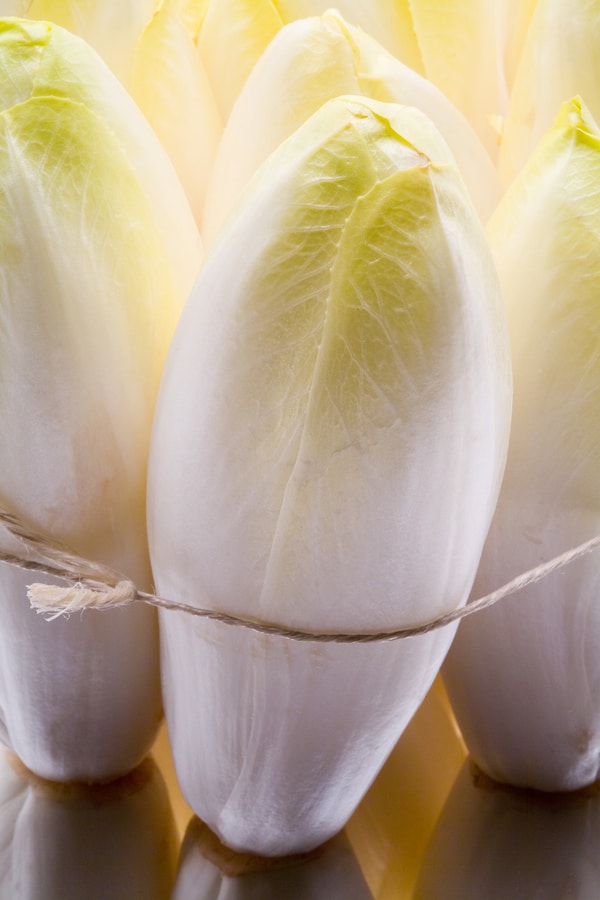 Belgian endive