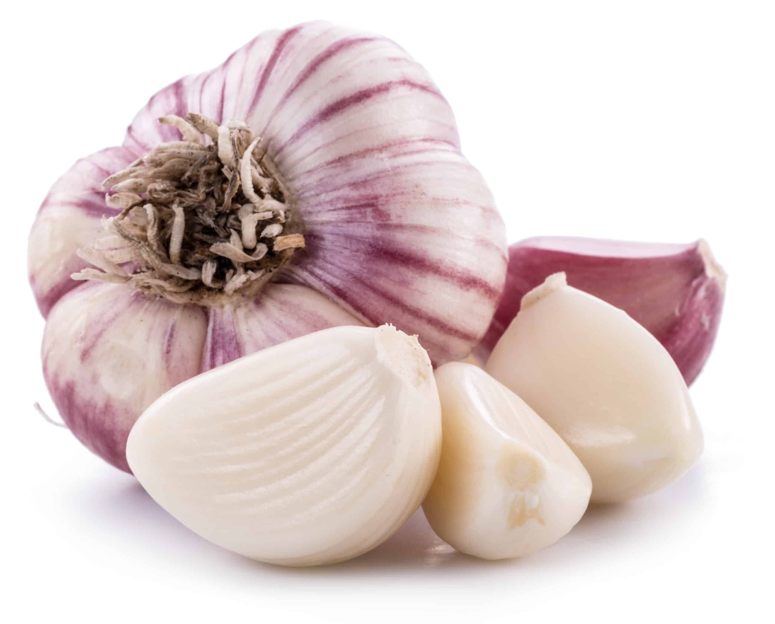 Garlic bulb and cloves