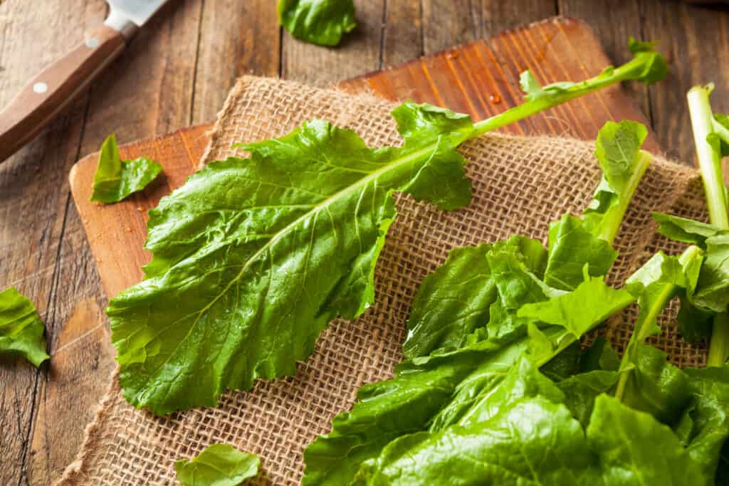 Three Tasty Ways to Cook Turnip Greens Harvest to Table