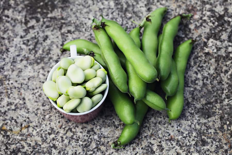 fava beans in pods