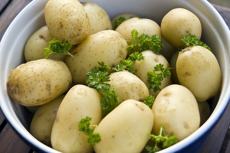 Loisa | Stainless Steel Masher | Kitchen Utensil for Potatoes, Plantains, Beans | Latin Kitchenware | Orange Masher