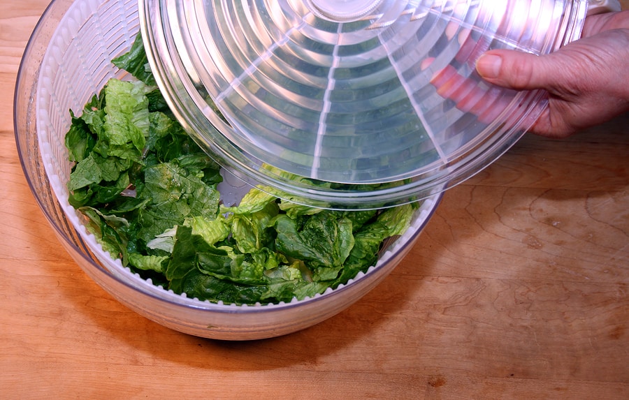 Salad spinner