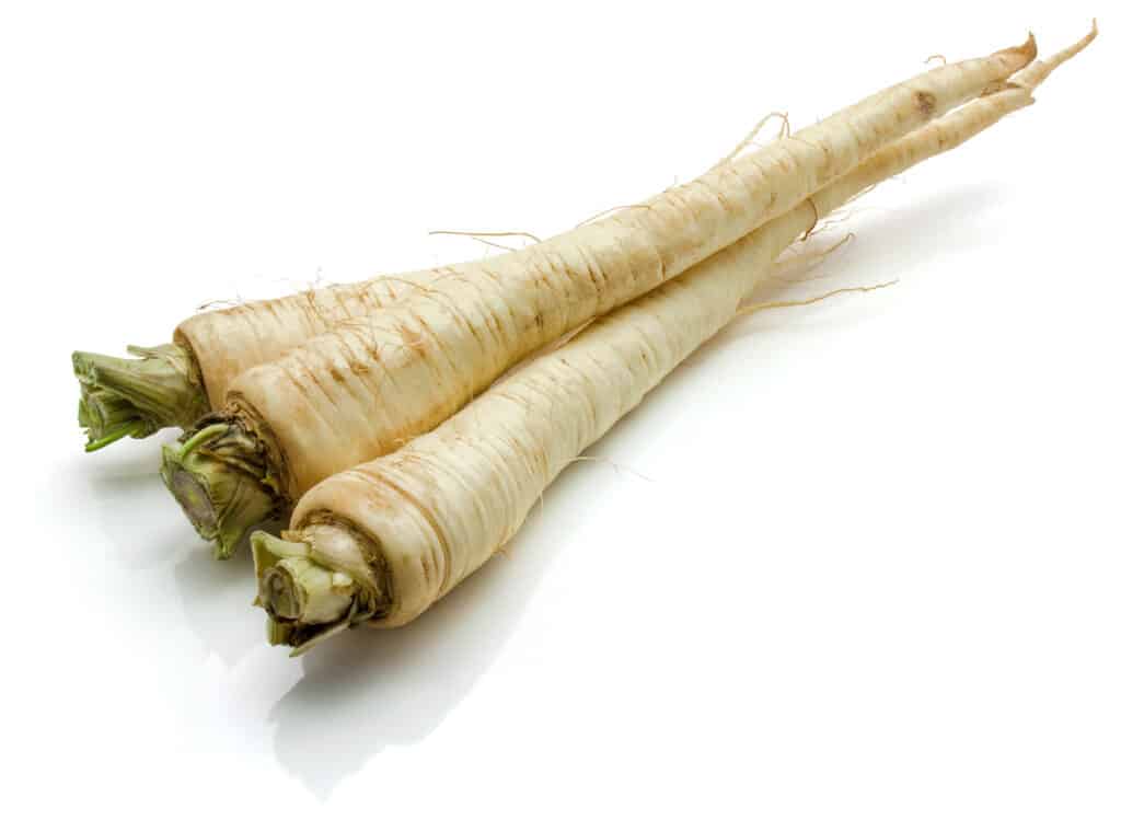 parsley root vs parsnip