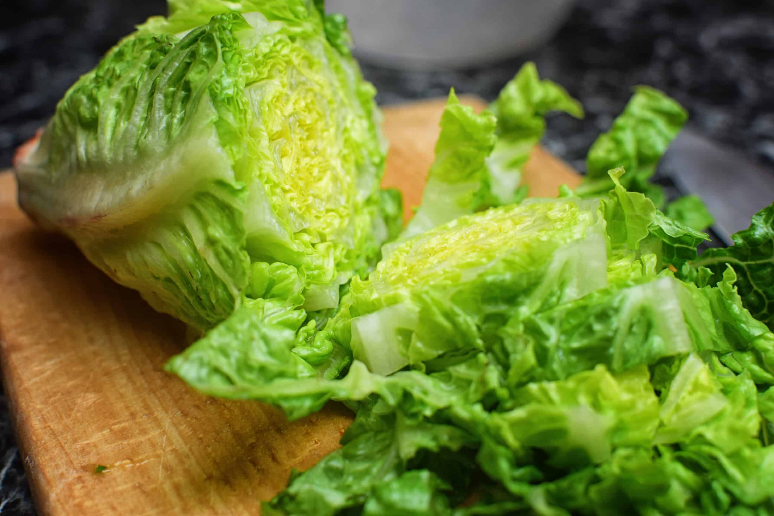 How to Harvest and Serve Yummy Lettuce Harvest to Table