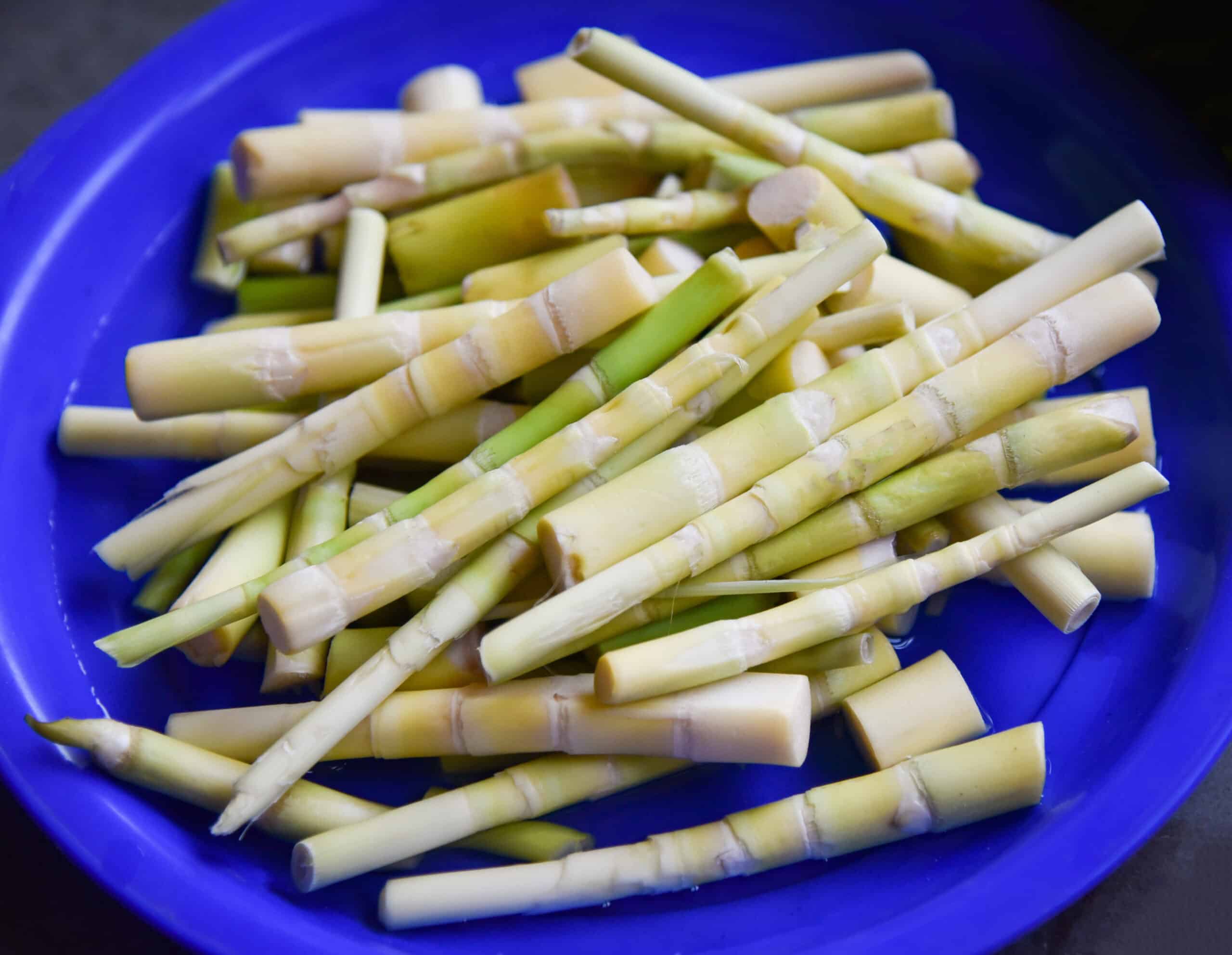 How to Cook and Serve Bamboo Shoots -- Harvest to Table