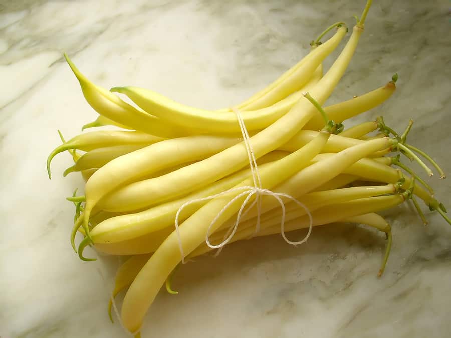 Yellow wax snap beans