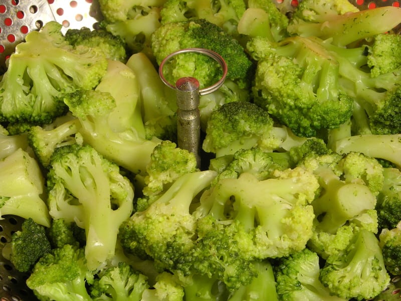 Steamed broccoli florets