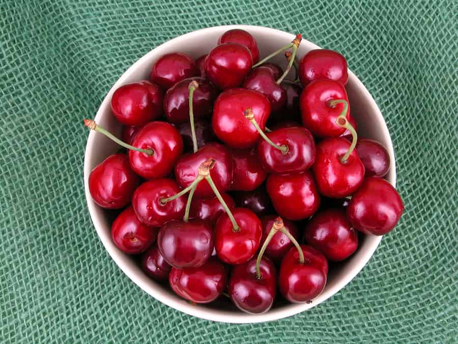 Different Types of Cherries: How to Use Them and more - Culinary Depot