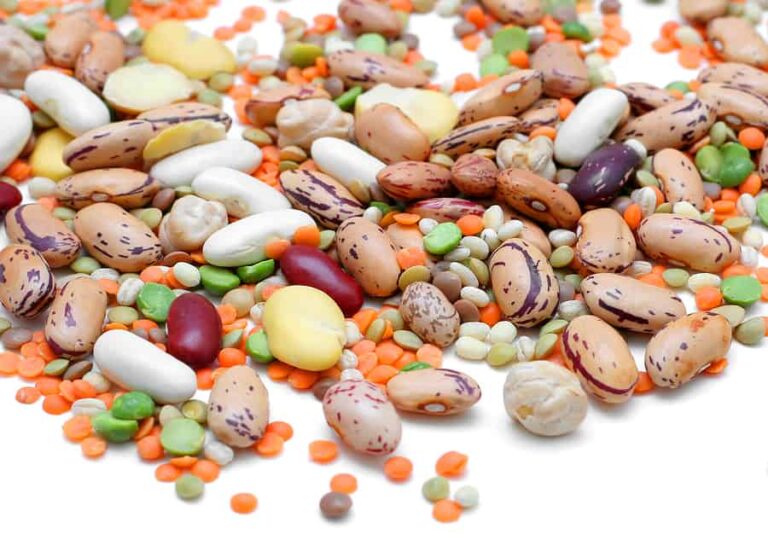 Legumes1