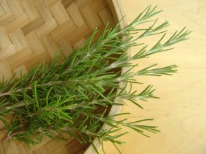 Rosemary in basket