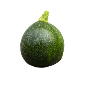 Round zucchini