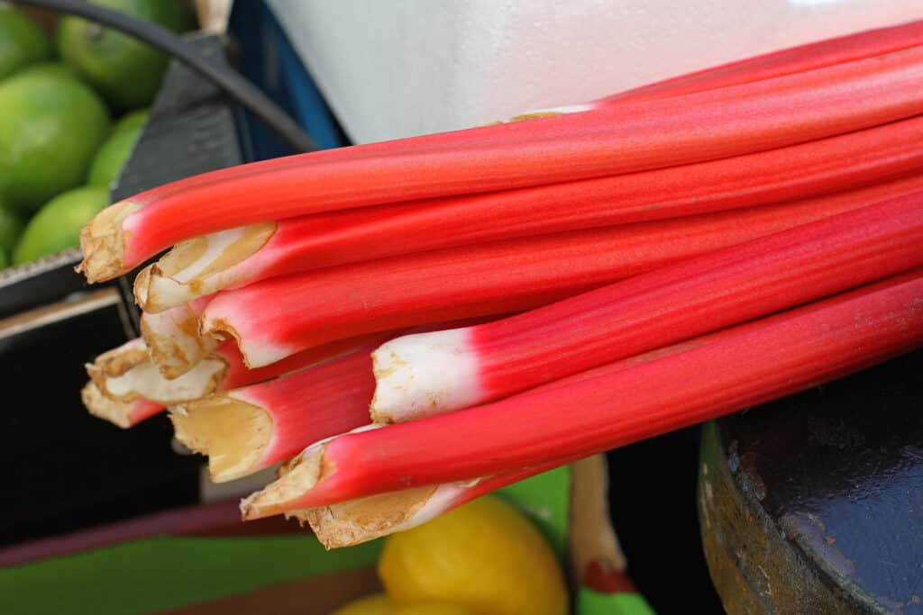 Rhubarb