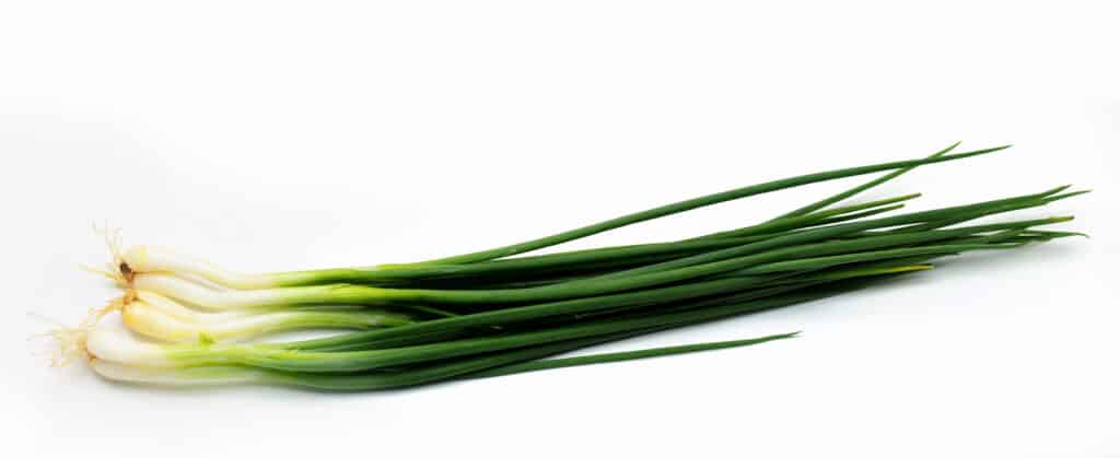 Spring onions