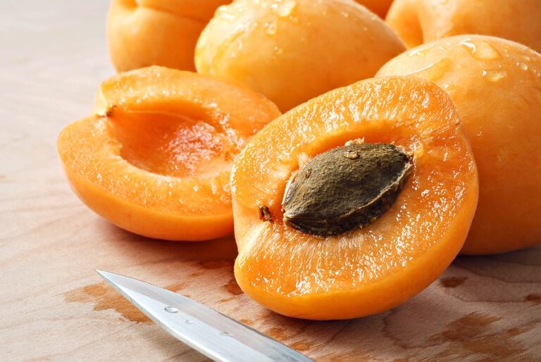 Apricot slices1