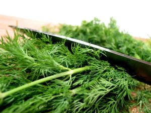 Dill in kitchen
