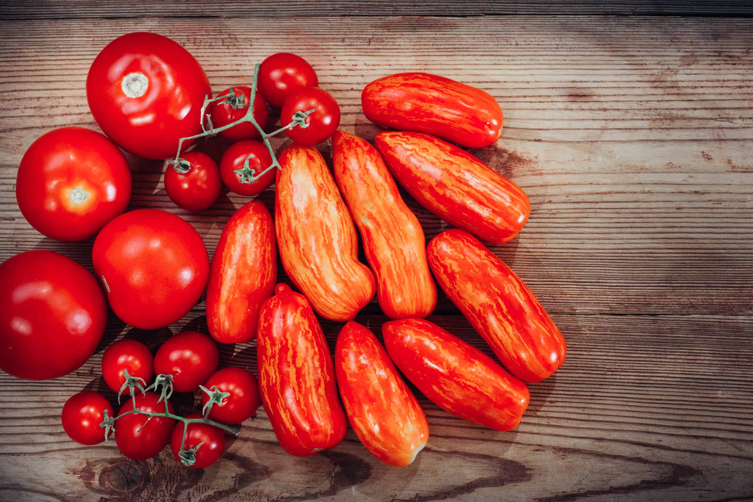 Tomatoes in kitchen