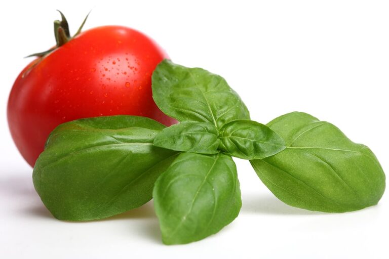 Basil Swee Basil and Tomato1