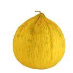 Casaba melon