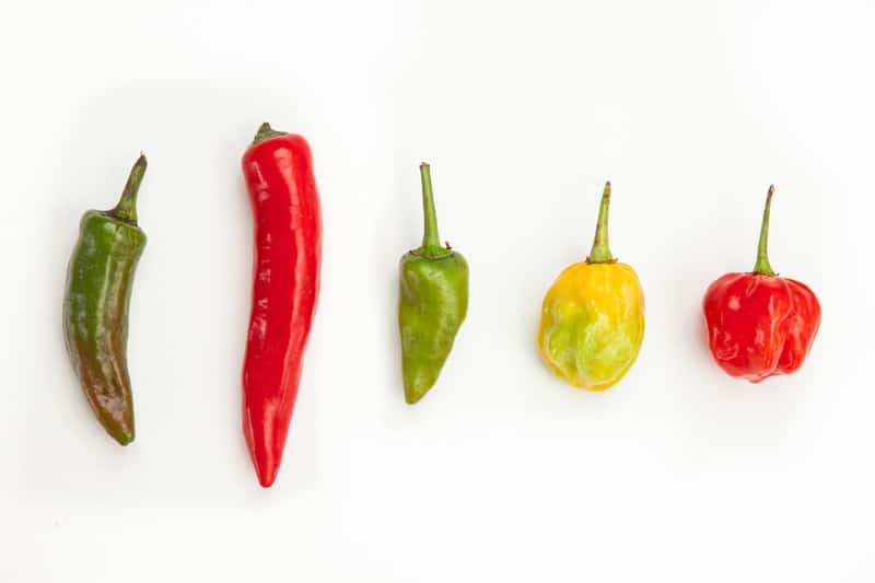 Five Ways to Cook and Serve Chili Peppers -- Harvest to Table