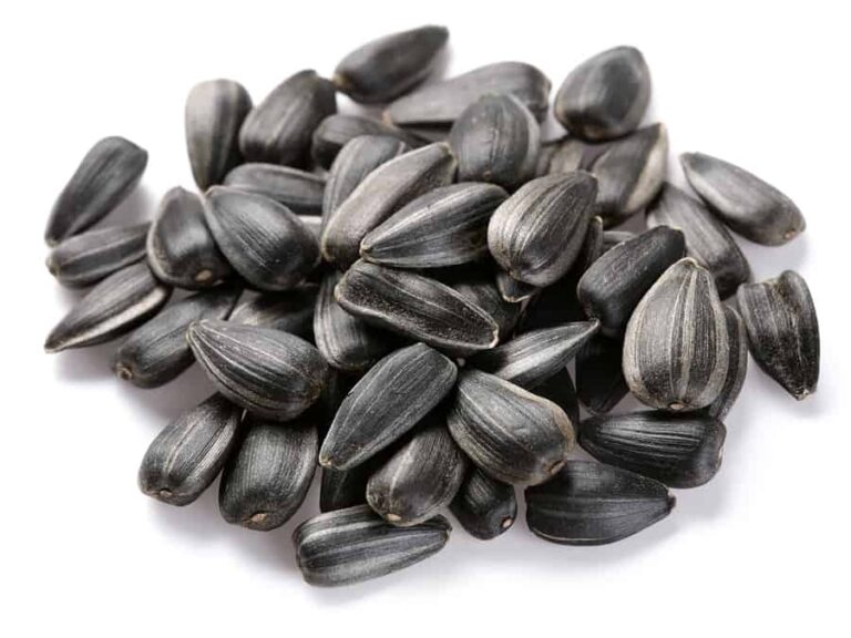 Sunflower seeds1
