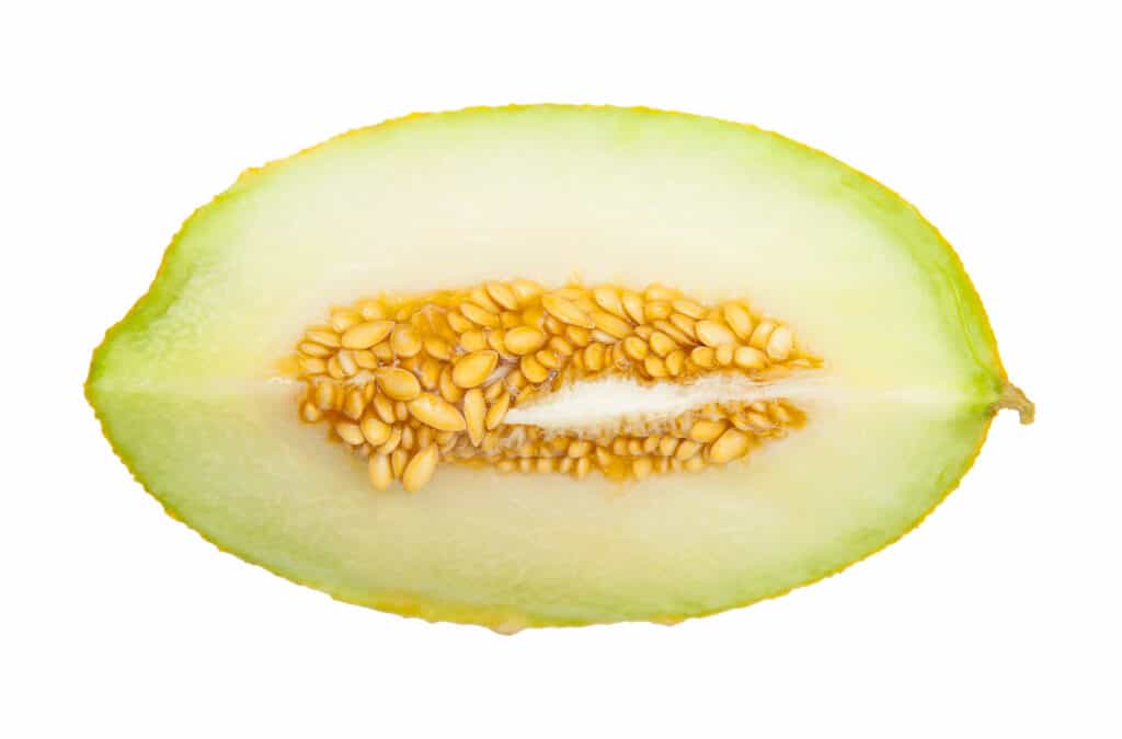 Honeydew melon