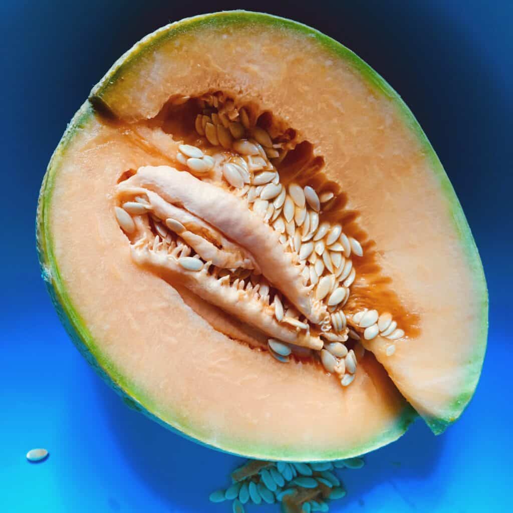 Halved melon