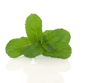 Mint Apple Mint Mint Apple Mint