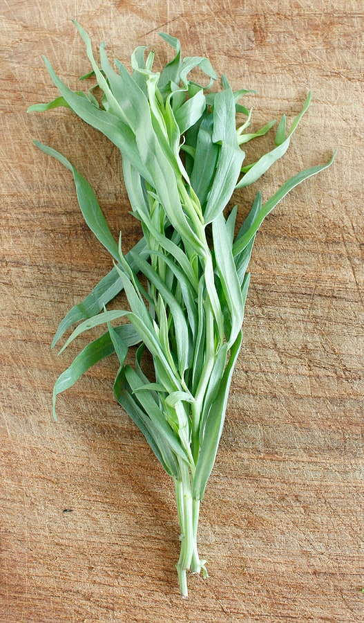 Tarragon in kitchen1