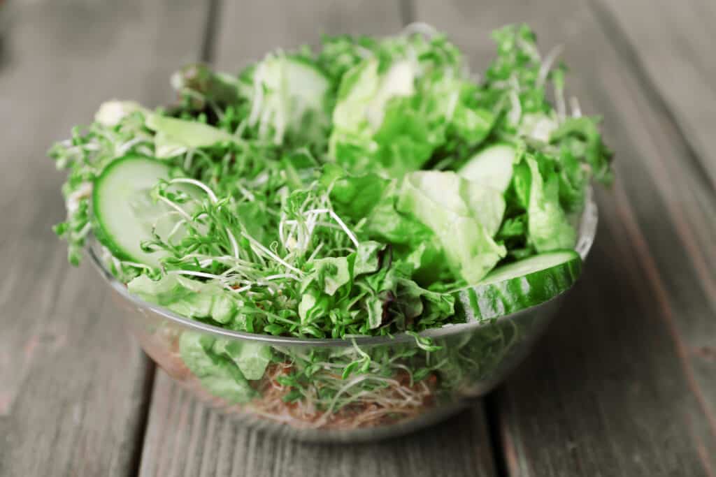 Cress salad with sliced cucumber