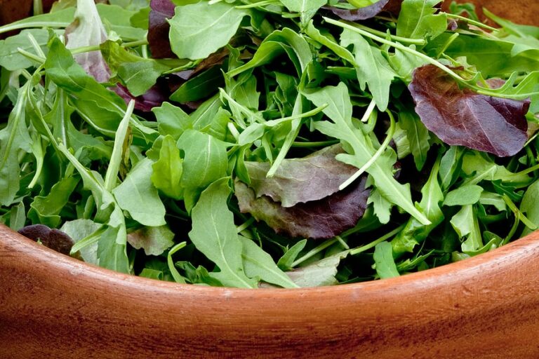 Mesclun Three traditional salad mixes Harvest to Table
