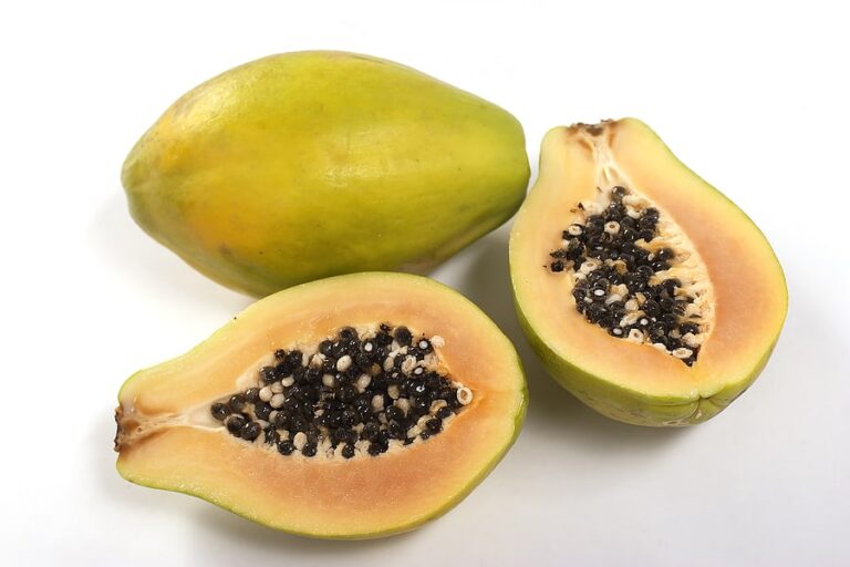 Pawpaw1