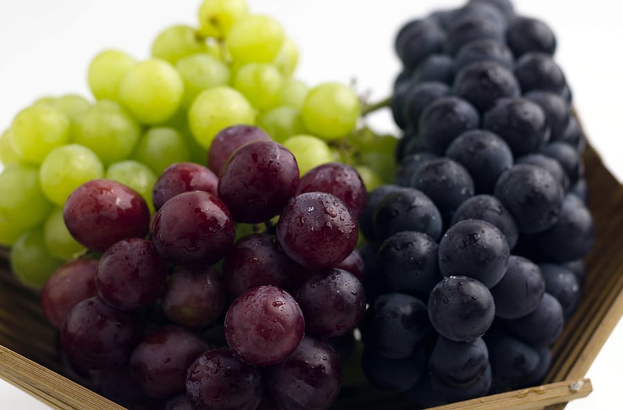 Table grapes