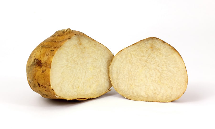 JIcama