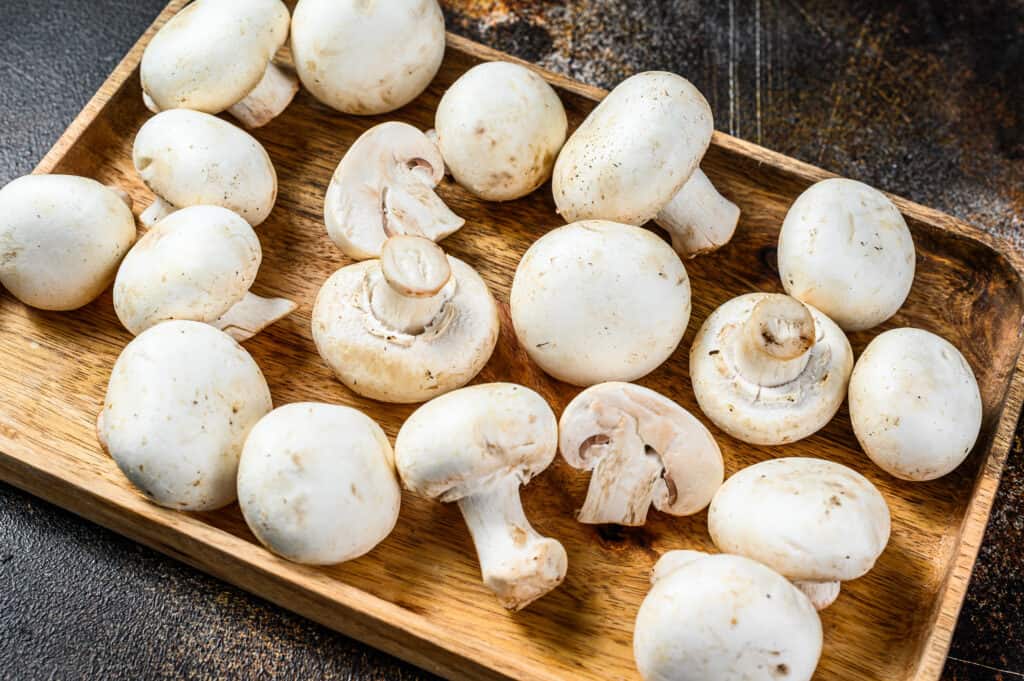 Champignon button mushroom