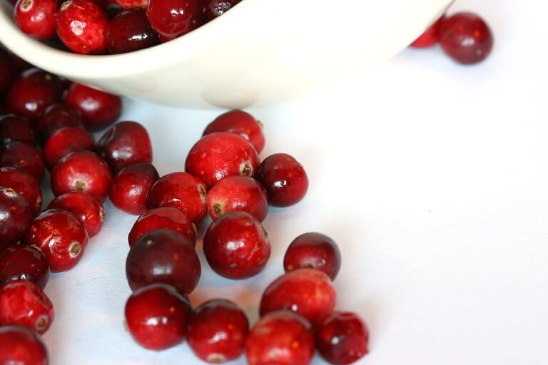 Cranberries1